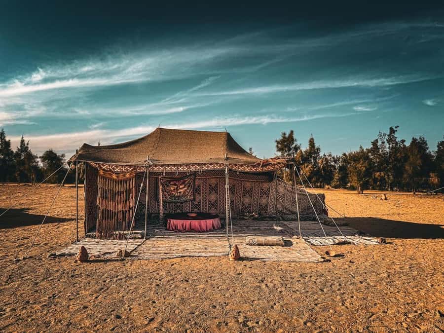 Hurghada: Hiking , dinner & stargazing - Stars, planets, and a telescope after dark