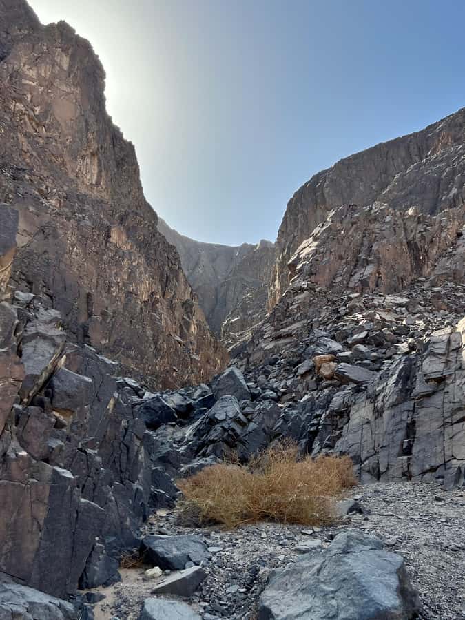 Hurghada: Hiking , dinner & stargazing - What the $68 price really covers