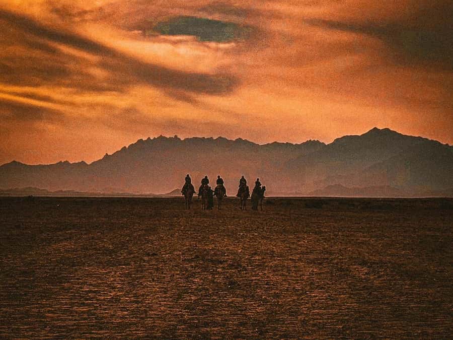 Hurghada: Hiking , dinner & stargazing - Who will enjoy this outing most?