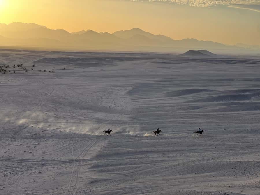 Hurghada: Horse Ride, BBQ Dinner, and Stargazing - From Hurghada Hotels to the Desert Oasis