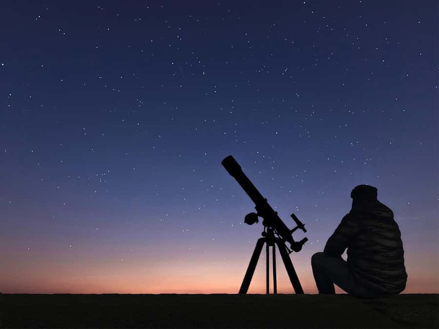Hurghada: Sea & Desert Camel Ride w/Dinner, Show, Stargazing - Key points before you book