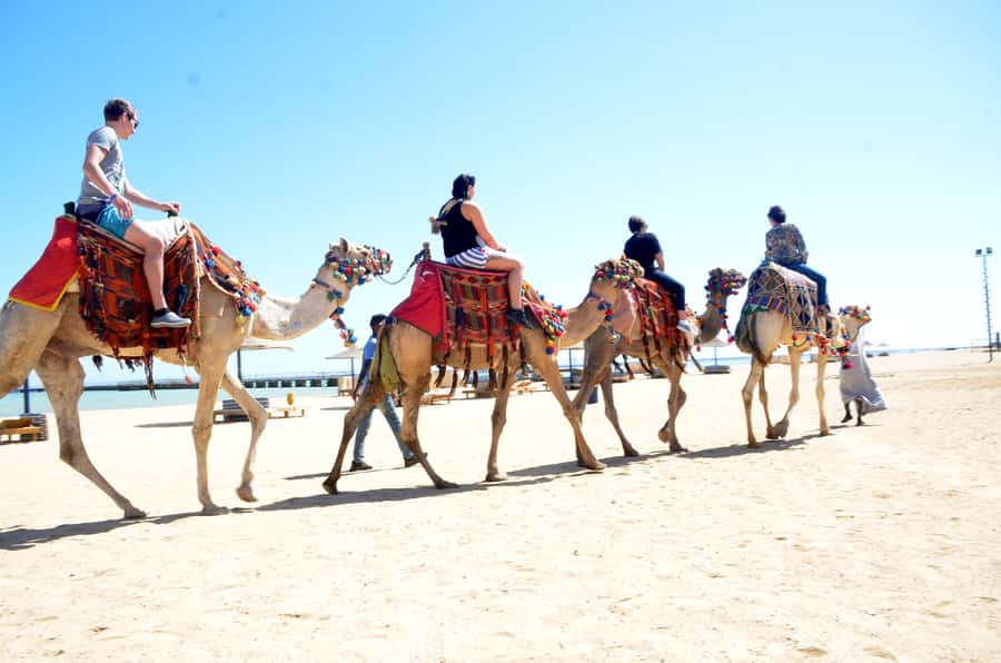 Hurghada: Sea & Desert Camel Ride w/Dinner, Show, Stargazing - Who should book this ride?