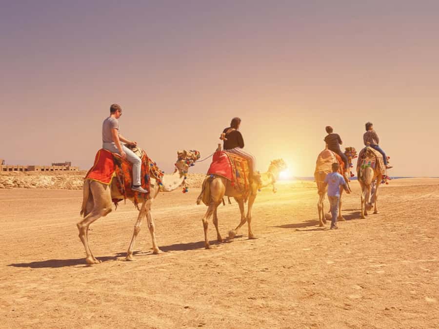 Hurghada: Sea & Desert Camel Ride w/Dinner, Show, Stargazing - What the Hurghada camel ride is really like