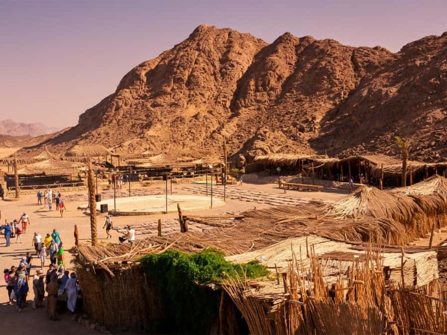 Hurghada: Sea & Desert Camel Ride w/Dinner, Show, Stargazing - Getting comfortable on a tall camel