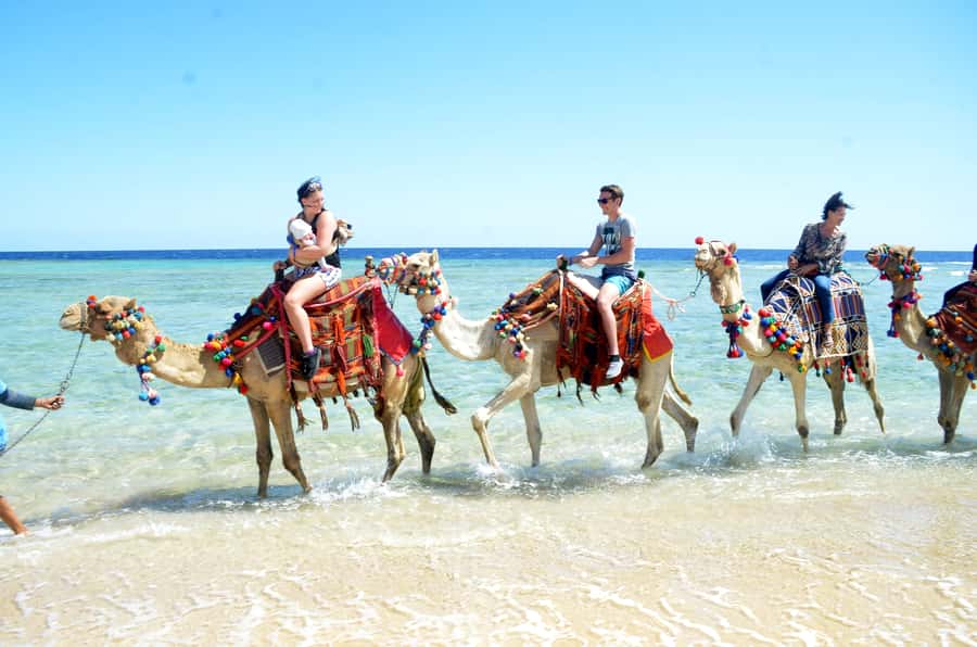 Hurghada: Sea & Desert Camel Ride w/Dinner, Show, Stargazing - Desert plains, mountains, sea, and lagoon views