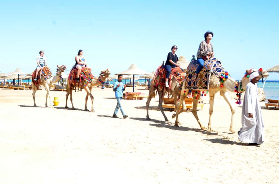 Hurghada: Sea & Desert Camel Ride w/Dinner, Show, Stargazing - Why the guides make such a difference