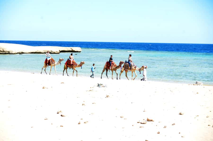 Hurghada: Sea & Desert Camel Ride w/Dinner, Show, Stargazing - Dinner, breakfast, and the desert evening