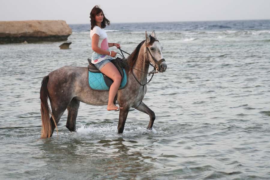 Hurghada: Sea & Desert Horse Tour, Stargazing, Dinner & Show - What this Hurghada horse ride is really like