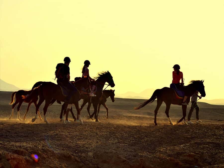 Hurghada: Sea & Desert Horse Tour, Stargazing, Dinner & Show - The Red Sea swim option