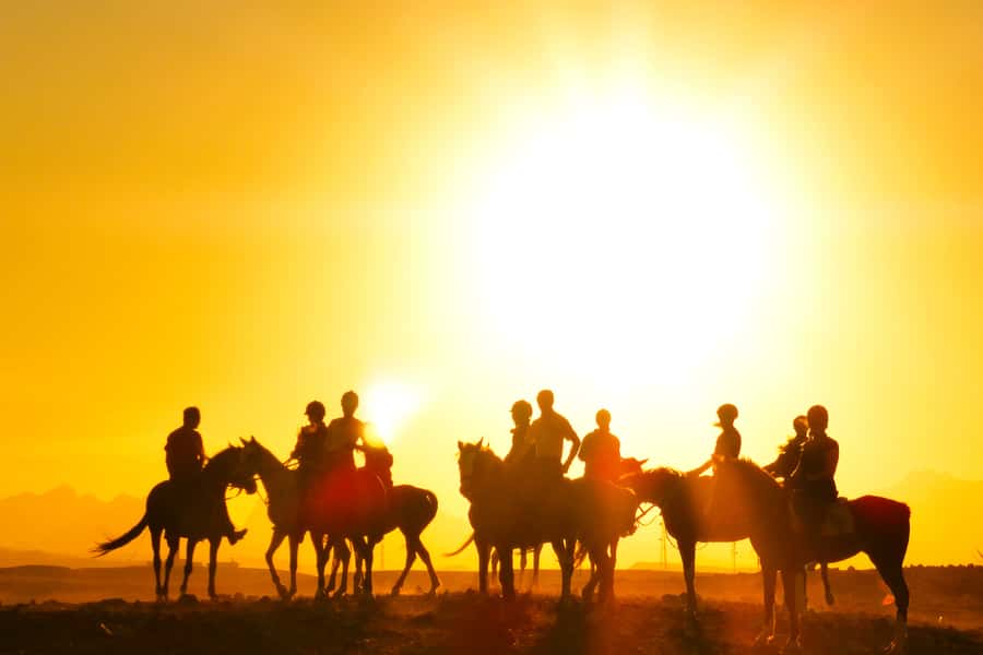 Hurghada: Sea & Desert Horse Tour, Stargazing, Dinner & Show - Sunset dinner, dancing, and stargazing