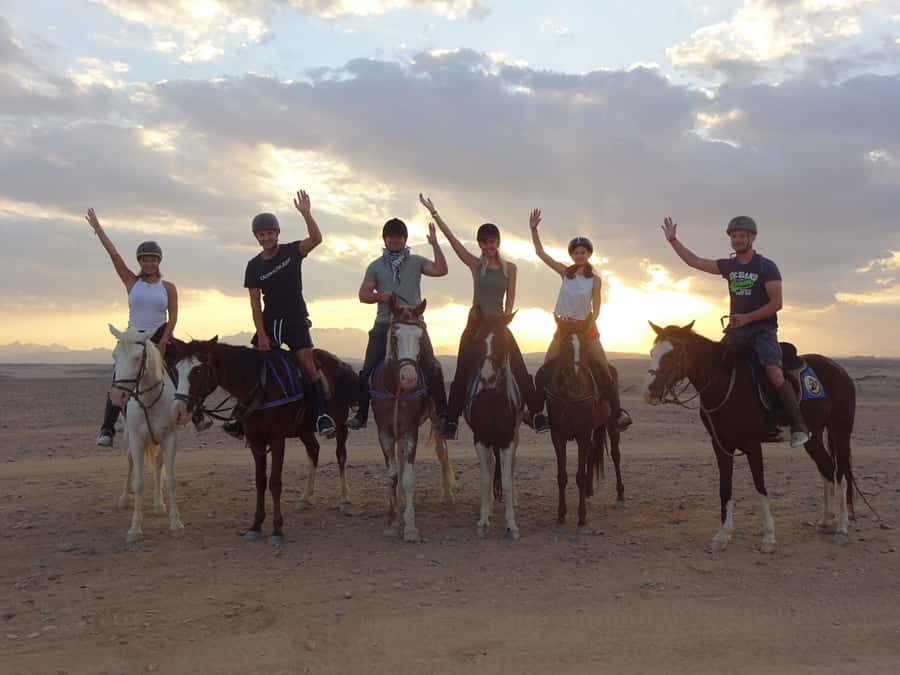 Hurghada: Sea & Desert Horse Tour, Stargazing, Dinner & Show - Pickup, arrival, and getting ready