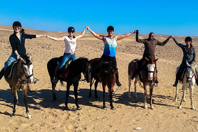 Hurghada: Sea & Desert Horseback Riding, Stargazing, Dinner, Show - What the Hurghada horseback ride is really like