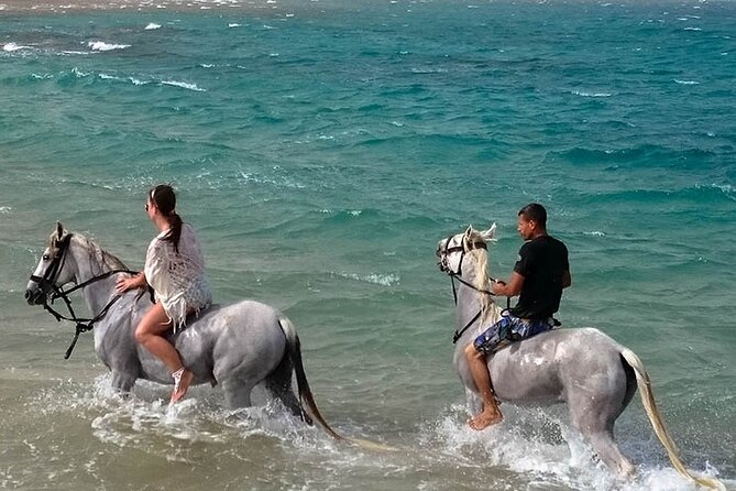Hurghada: Sea & Desert Horseback Riding, Stargazing, Dinner, Show - Makadi Bay, where resorts meet the Red Sea