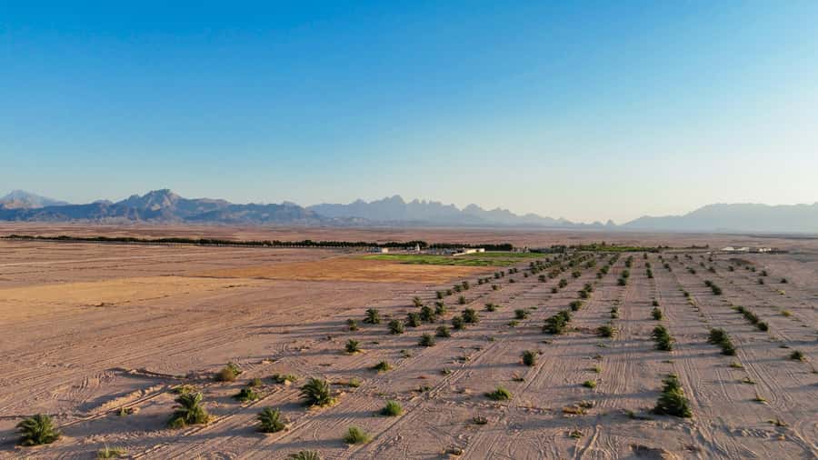 Hurghada: Star Stargazing Desert Adventure by Jeep & Dinner - The stars, planets, and a proper telescope
