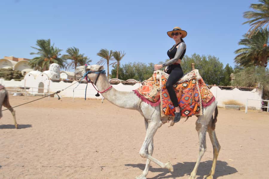 Hurghada: Sunset Quad Bike, Camel w/ Opt Stargazing and BBQ - Is the $14 price good value?