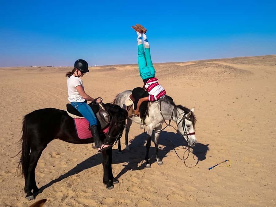 Hurghada: Sunset Sea, Desert Horse W Opt, Dinner, Stargazing - Should you book the Hurghada horse ride?