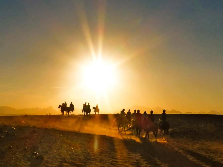 Hurghada: Sunset Sea, Desert Horse W Opt, Dinner, Stargazing - From your hotel to the Hurghada stables