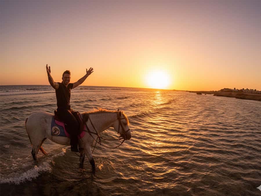 Hurghada: Sunset Sea, Desert Horse W Opt, Dinner, Stargazing - Two hours through desert and seaside trails