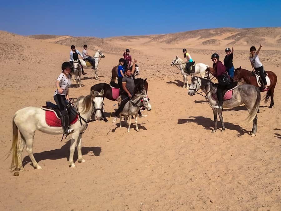 Hurghada: Sunset Sea, Desert Horse W Opt, Dinner, Stargazing - Choosing sunset, sunrise, swimming, or evening entertainment