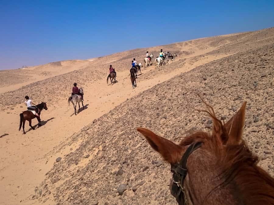 Hurghada: Sunset Sea, Desert Horse W Opt, Dinner, Stargazing - Is the $29 price good value?