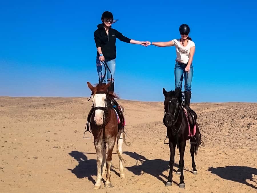 Hurghada: Sunset Sea, Desert Horse W Opt, Dinner, Stargazing - Who should book this ride?