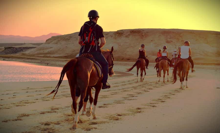 Hurghada: Sunset Sea, Desert Horse W Opt, Dinner, Stargazing - Practical packing advice and safety notes