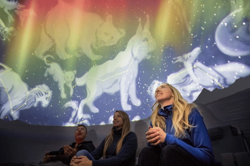 Jasper: Planetarium Indoor Dome Experience - The show begins with Jasper’s night sky