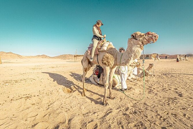 Jeep Cruise Stargazing with Horse Riding & BBQ Dinner - Hurghada - The Bedouin village adds local context