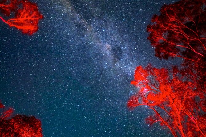 Jervis Bay Beach Stargazing Tour with our Astronomer - Dimitri’s scientific background and teaching style