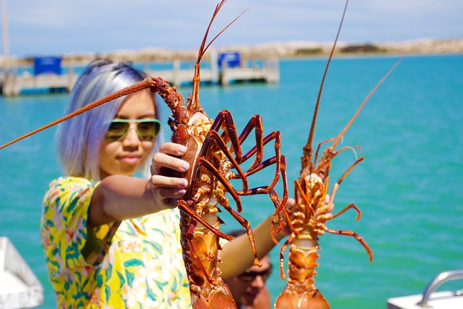 Kalbarri Stargazing Tour - The personal touch from Cristina and Guy