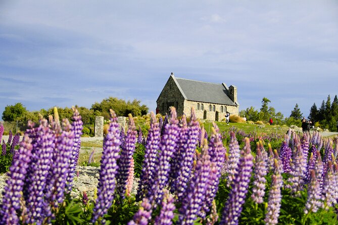 Lake Tekapo Stargazing & Mount Cook 2-Day Tour from Christchurch - Five things worth knowing before you book