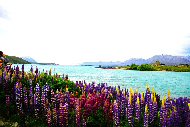 Lake Tekapo Stargazing & Mount Cook 2-Day Tour from Christchurch - Evening in Lake Tekapo and the Church of the Good Shepherd