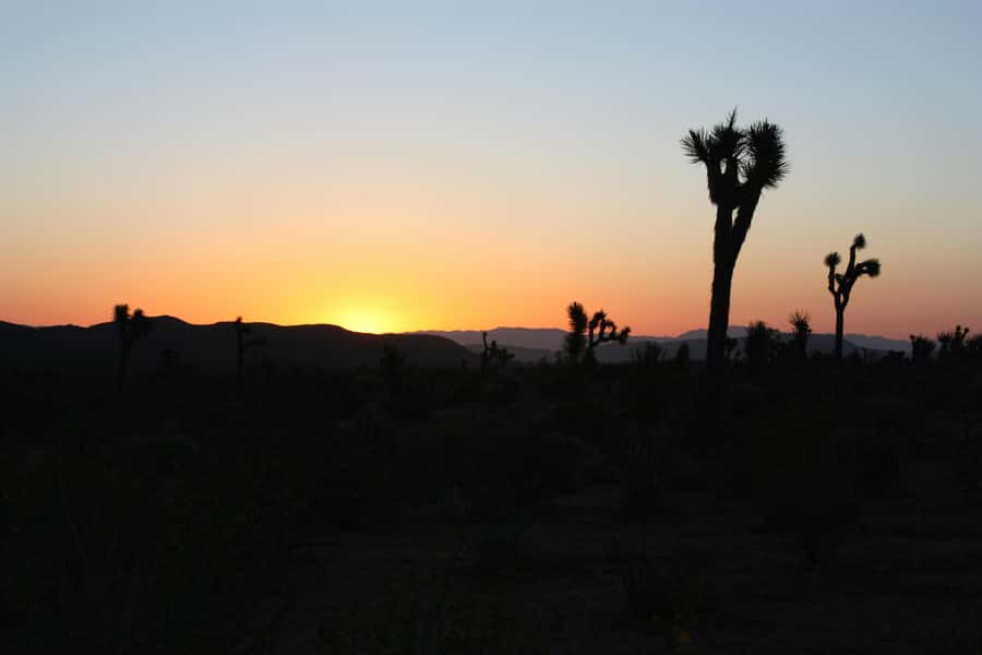 Las Vegas: Death Valley Sunset and Stargazing Tour - Leaving Las Vegas for Death Valley
