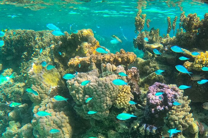 Legend Storytelling and Stargazing in Bora Bora - Stargazing from a Southern Hemisphere beach