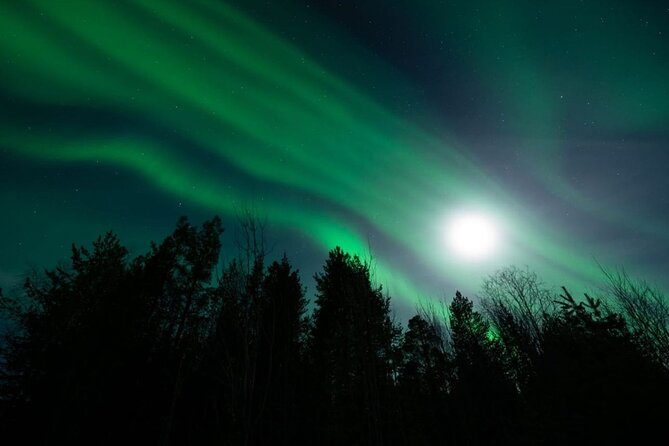 Levi: Aurora Borealis Tour and Stargazing Experience - Telescope views and a stargazing app