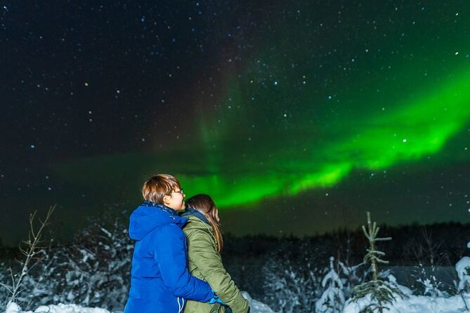 Levi: Aurora Borealis Tour and Stargazing Experience - What $131.25 gets you