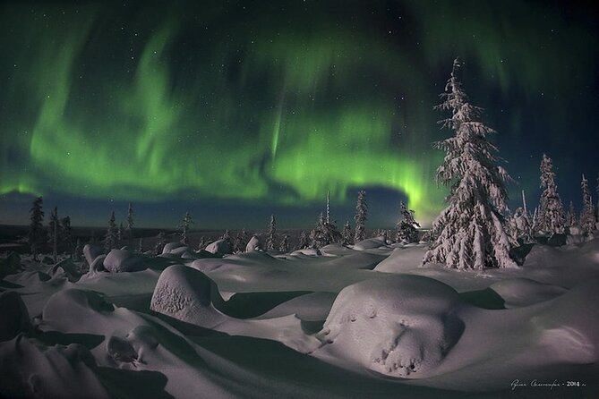 Levi: Aurora Borealis Tour and Stargazing Experience - Who will enjoy this Levi night tour?