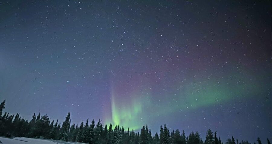 Levi: Twilight Snowmobile Safari & Stargazing Experience - Who should book this evening in Levi