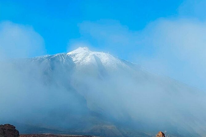 Magic Stargazing & Sunset in Teide with Dinner + Telescopes - El Pino Gordo, a quick stop beside an ancient tree