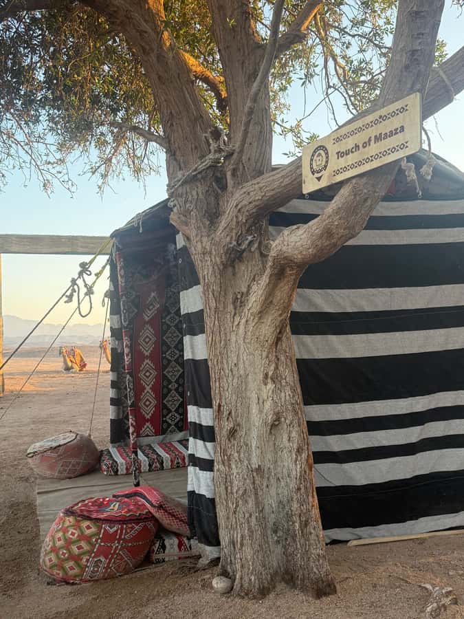 Makadi Bay: BADU Luxury Bedouin Dinner Experience & Stargaze - At a glance: what makes this desert evening special