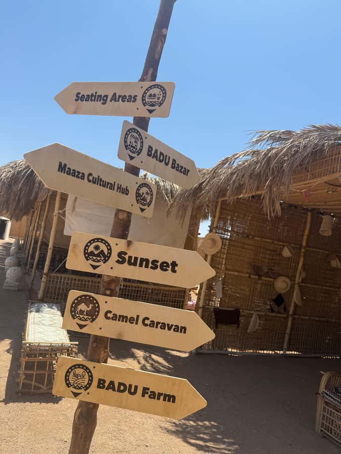 Makadi Bay: BADU Luxury Bedouin Dinner Experience & Stargaze - Who will get the most from this four-hour outing?