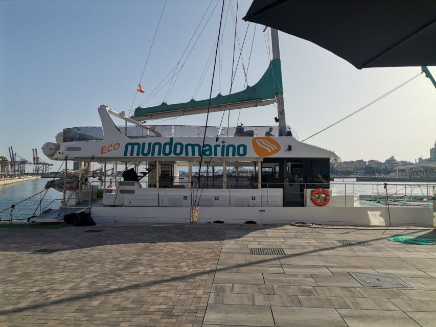 Malaga: A Sea of Stars Nighttime Stargazing Catamaran Tour - The constellation talk is the heart of the evening