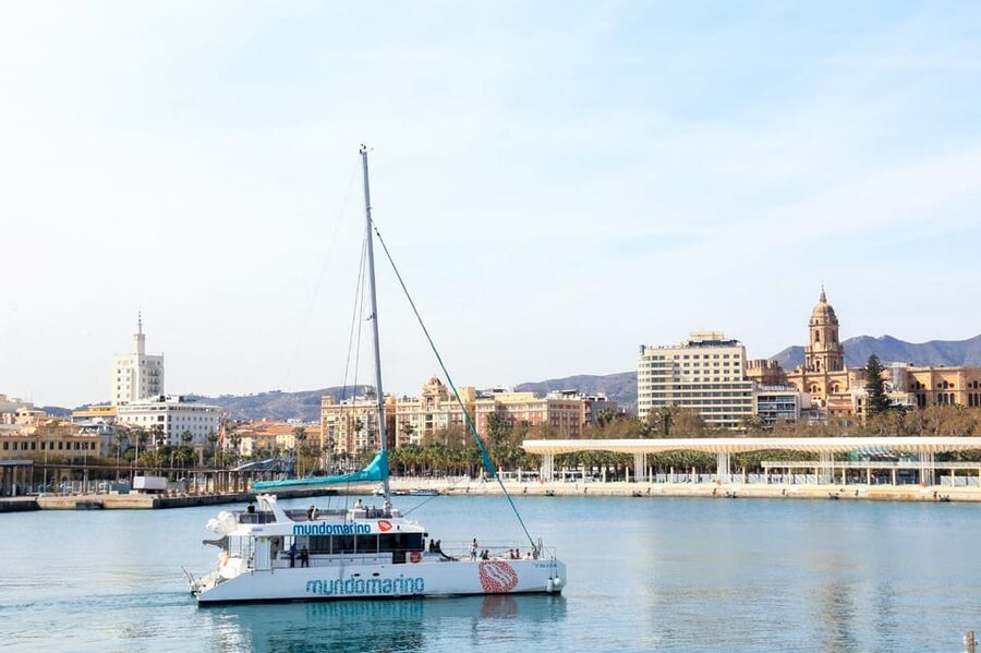 Malaga: A Sea of Stars Nighttime Stargazing Catamaran Tour - How the 90 minutes are best understood