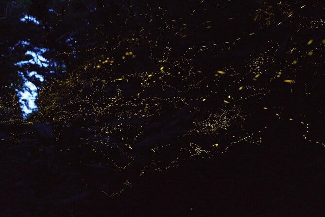 【March-June】Private Firefly Viewing & Stargazing tour - Mount Omoto and the half-hour glow