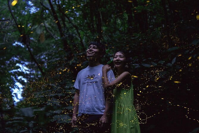 【March-June】Private Firefly Viewing & Stargazing tour - A private tour that keeps the evening simple
