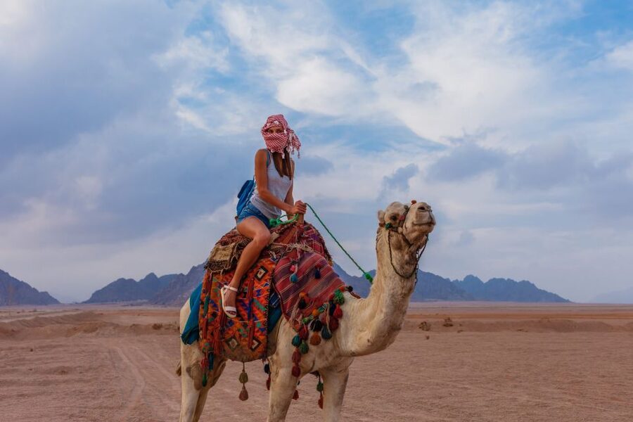 Marsa Alam Bedouin Nights: Jeep Safari, Dinner & Stargazing - A short camel ride and a Bedouin welcome