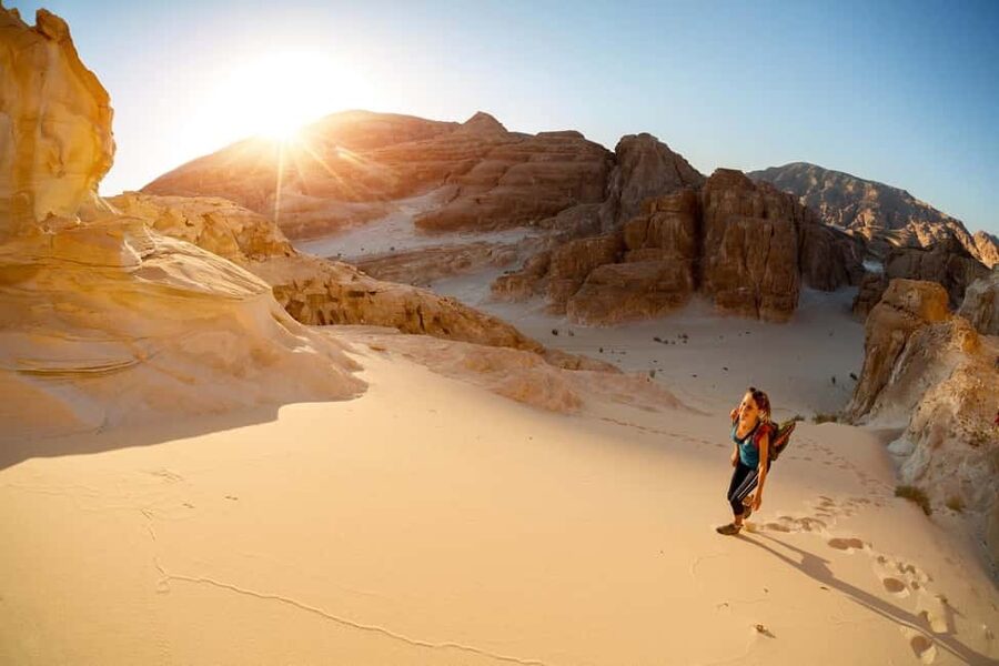 Marsa Alam Bedouin Nights: Jeep Safari, Dinner & Stargazing - Dinner under the stars