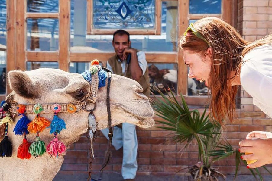 Marsa Alam Bedouin Nights: Jeep Safari, Dinner & Stargazing - Telescope stargazing is the quiet finale