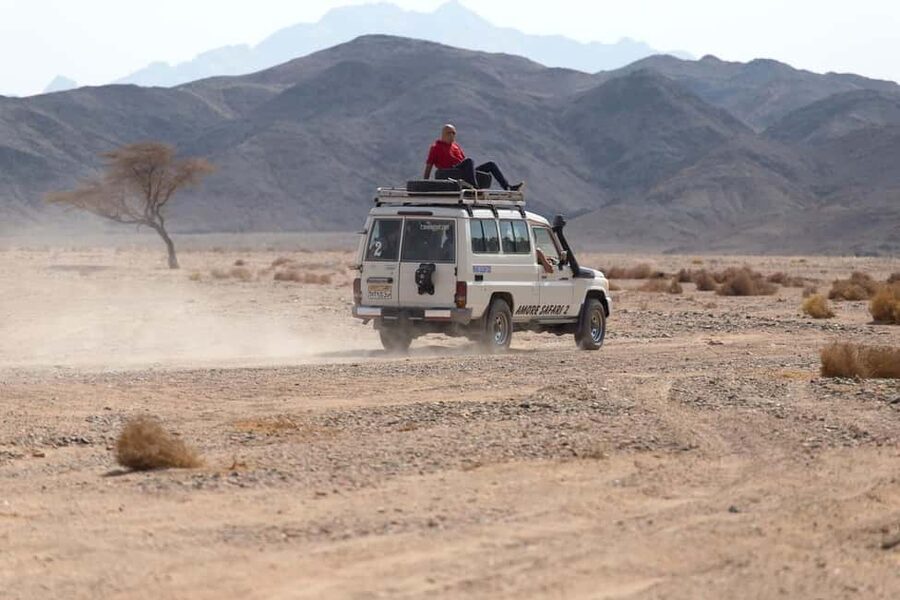 Marsa Alam Bedouin Nights: Jeep Safari, Dinner & Stargazing - How the $76 price holds up