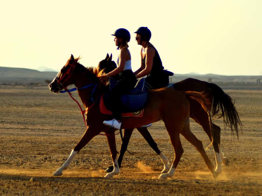 Marsa Alam: Sunset Horseback with Dinner, Show & Stargazing - Key points at a glance